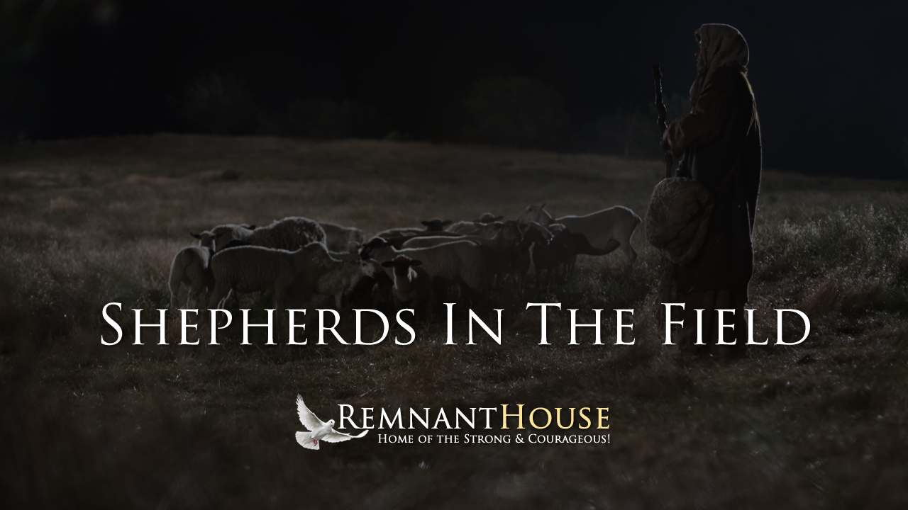 Shepherds In The Field! - Remnant House — Remnant House
