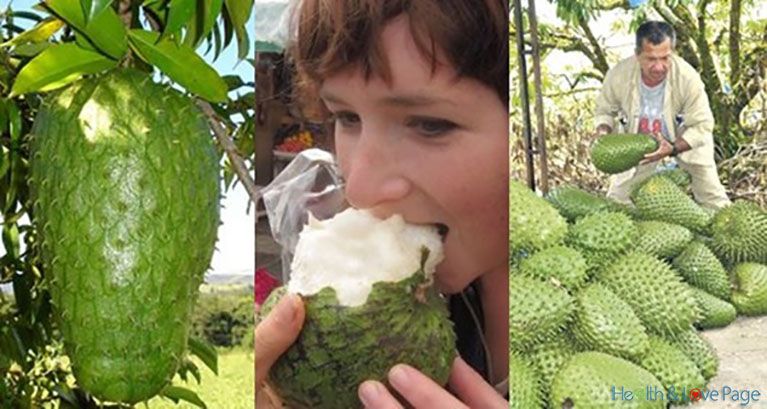 The Fruit That Treat Cancer - Still Hidden by The Big Pharma