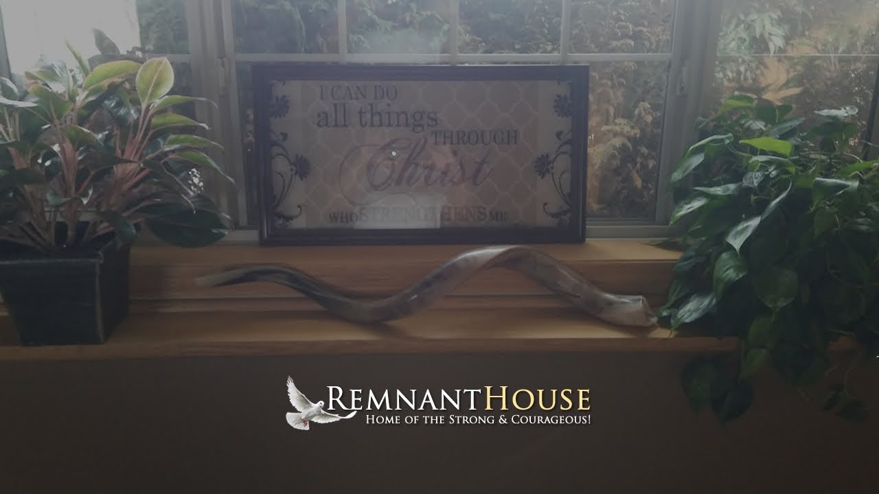 Q anon Confirms The JUBILEE! - Peter Michael Martinez