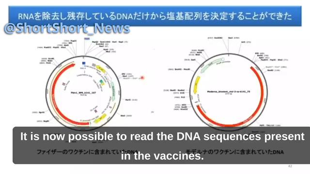 Japanese professor Murakami of Tokyo University of Science makes an astonishing finding.