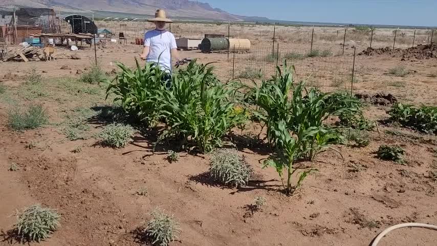 newkingdom breakfast