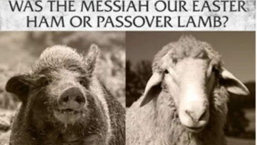 Easter Ham Or Passover Lamb?  – Truthers Journal