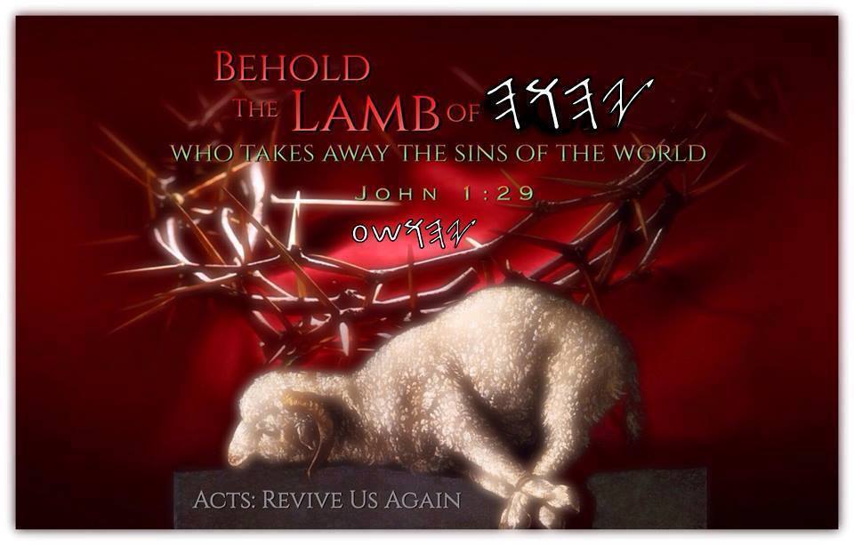 THE BLOOD OF A LAMB NEUTRALIZE POISON  – Truthers Journal